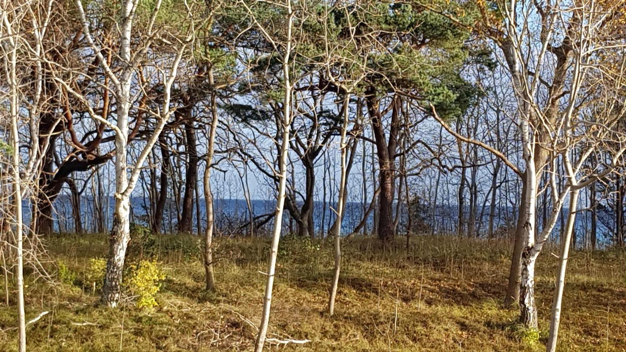 Traum Fewo Strandliebe Mit Meerblick, 3 Schlafzimmer, 2 Baeder 宾茨 外观 照片